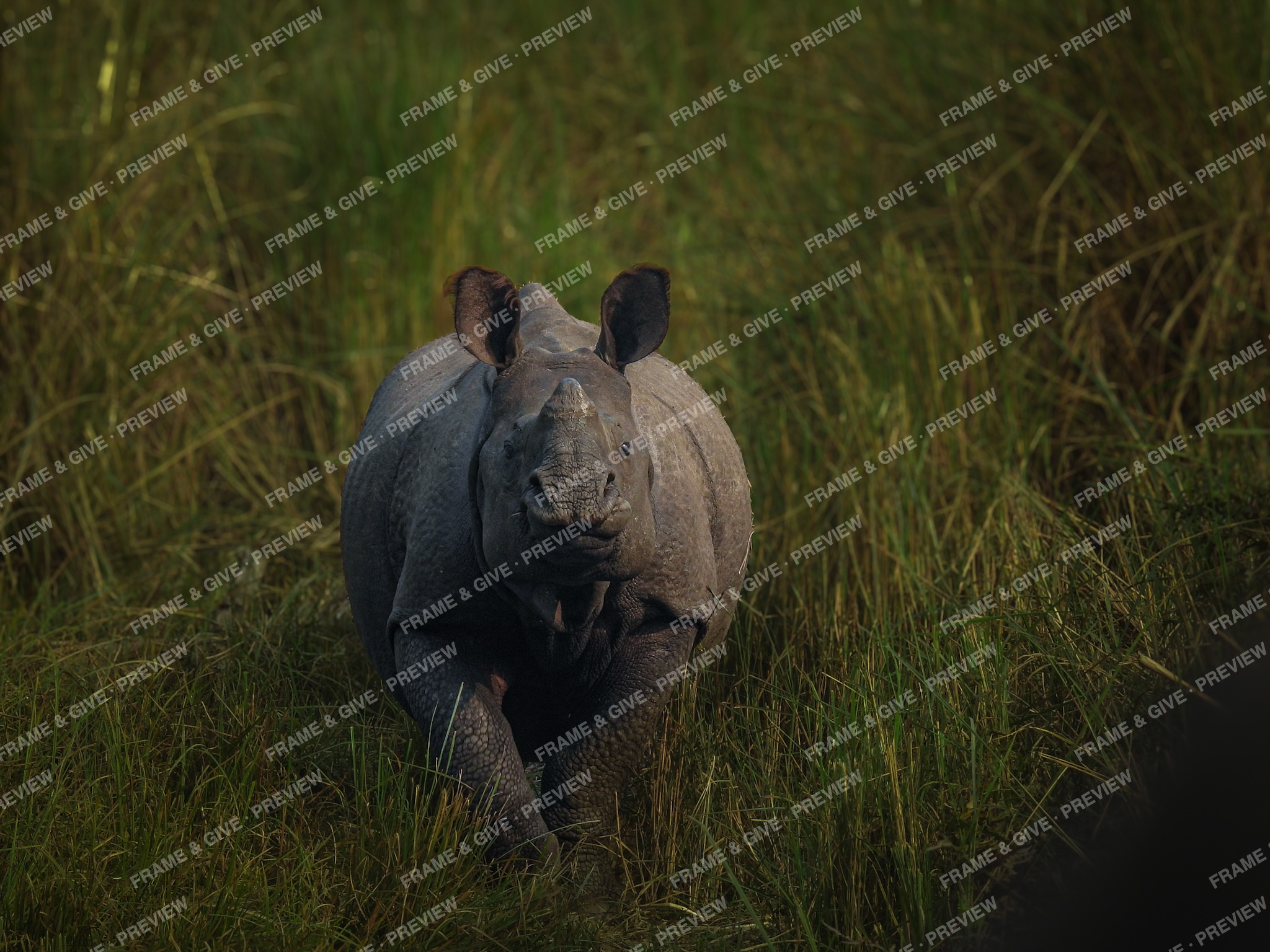 The Grass Parts